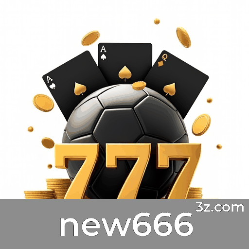 Experiência Profissional na Plataforma new666